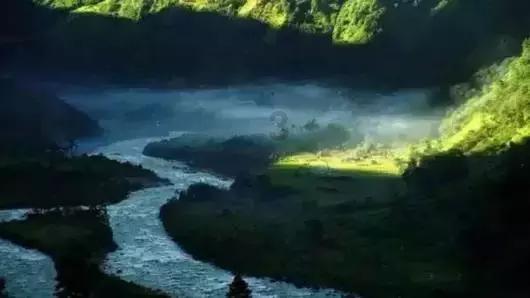 壮大特色产业 带富一方百姓（乡村行 看振兴）